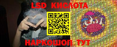 крисы Шелехов