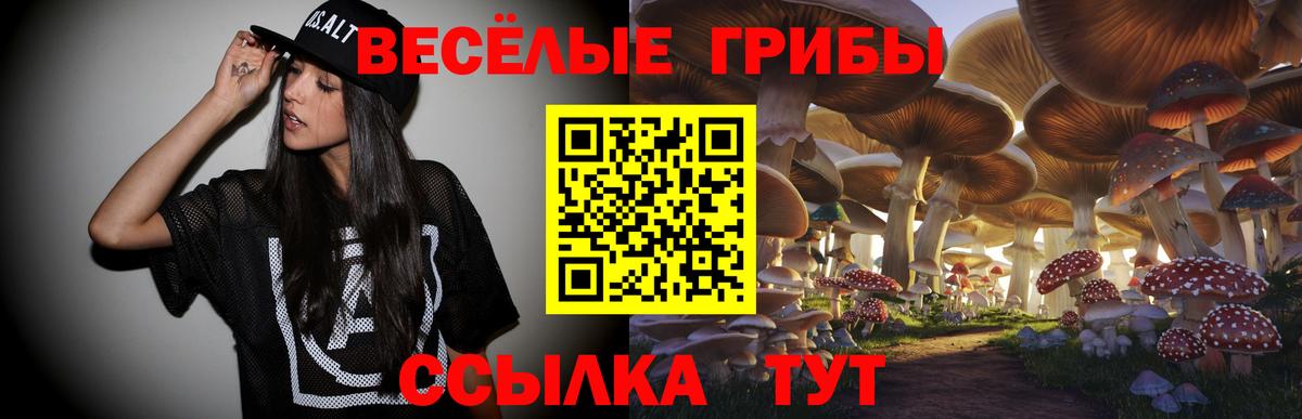 продажа наркотиков  Галлюциногенные грибы Magic Shrooms  Вход с VPN  Мичуринск 
