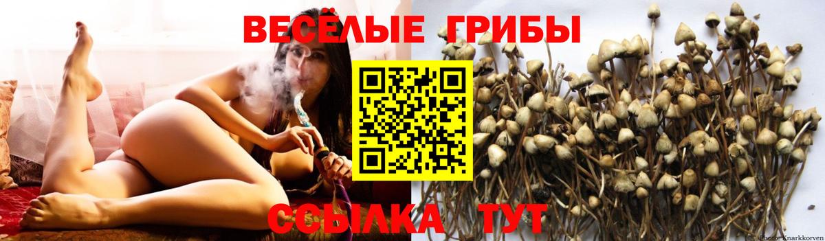 Псилоцибиновые грибы MAGIC MUSHROOMS Мичуринск